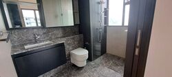 The Inflora (D17), Condominium #569725441